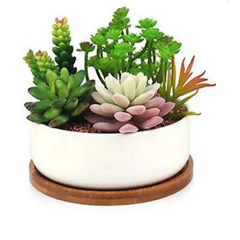 Modern home decorative White small Ceramic Cactus plant flat flower pot