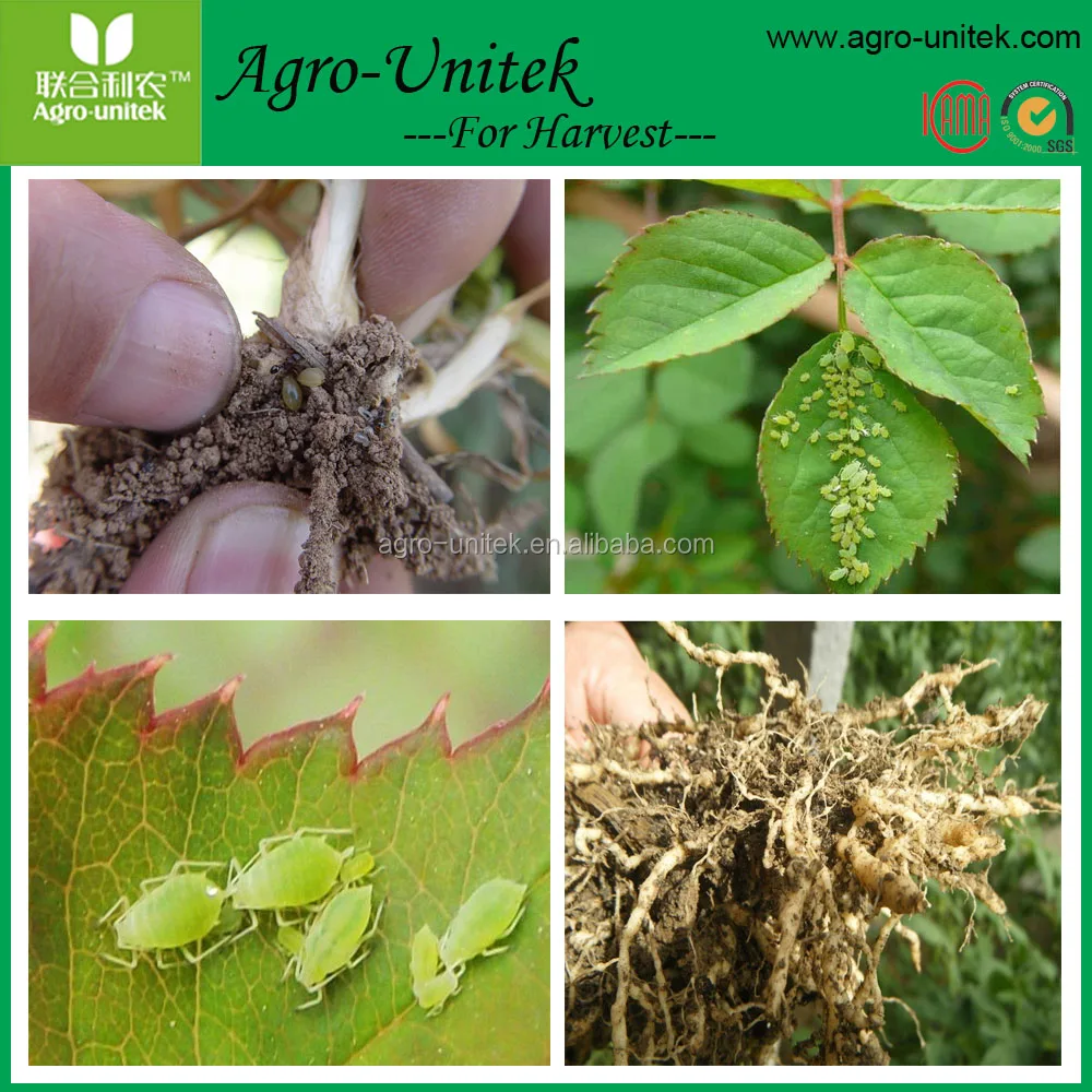 Pesticides Manufacturer Supply Abamectin 1.8%EC,5%EC Insecticide