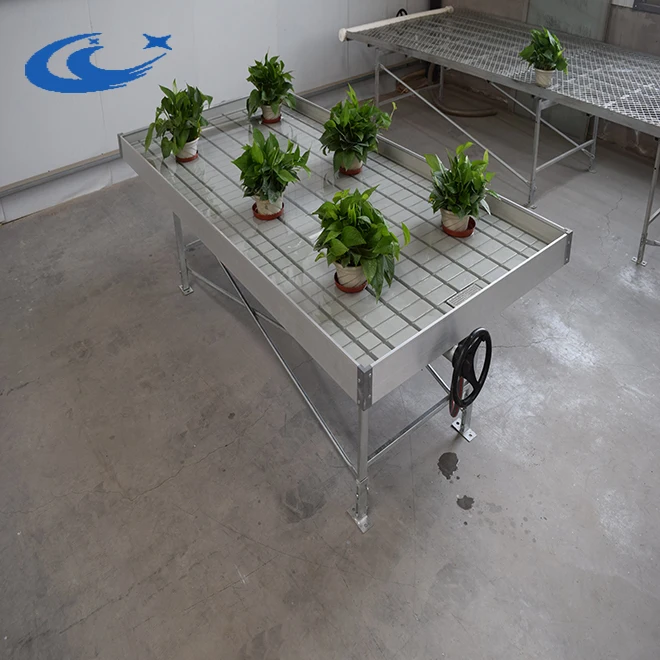 Greenhouse Planting for or vegetable plastic Seed trays/seedings( on ebb table)