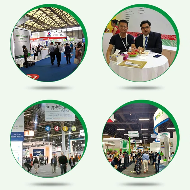 
Panax ginseng root extract ginsenoside 80% powder 