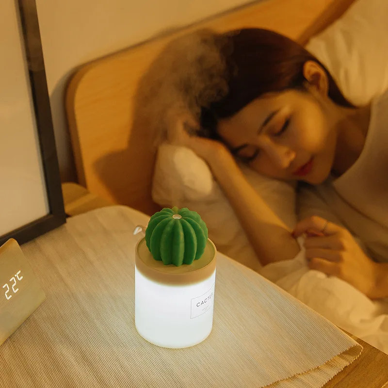 New usb mini portable air cactus humidifier for home or office