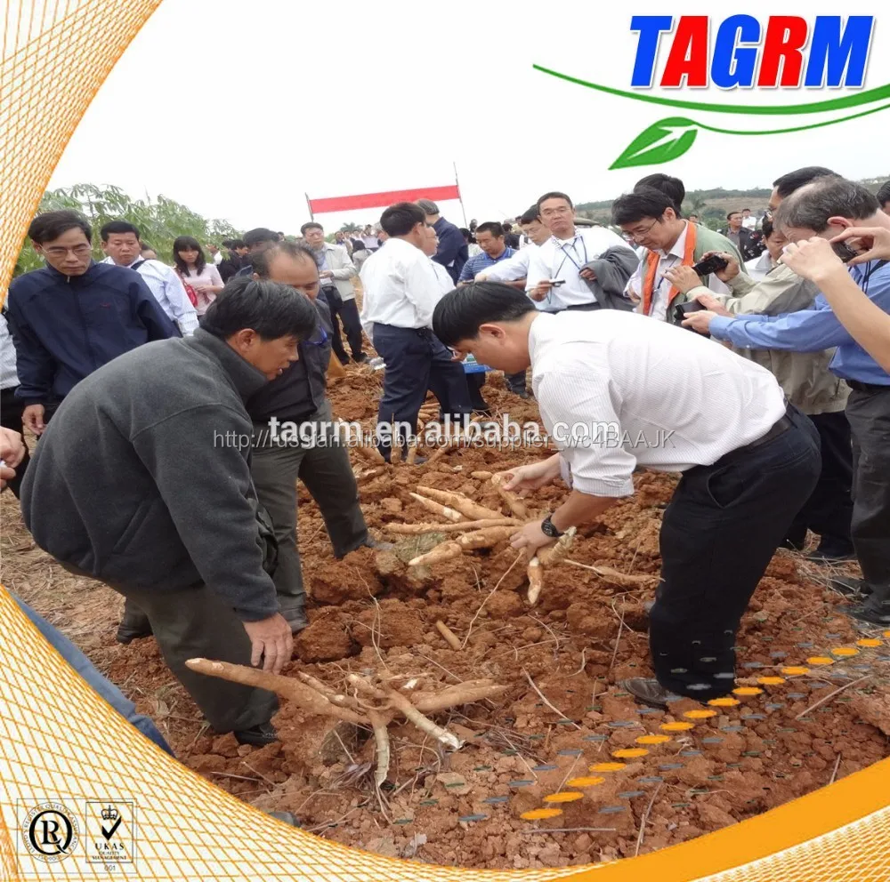 Новинка 2 рядов маниока стволовых комбайн MSU1200