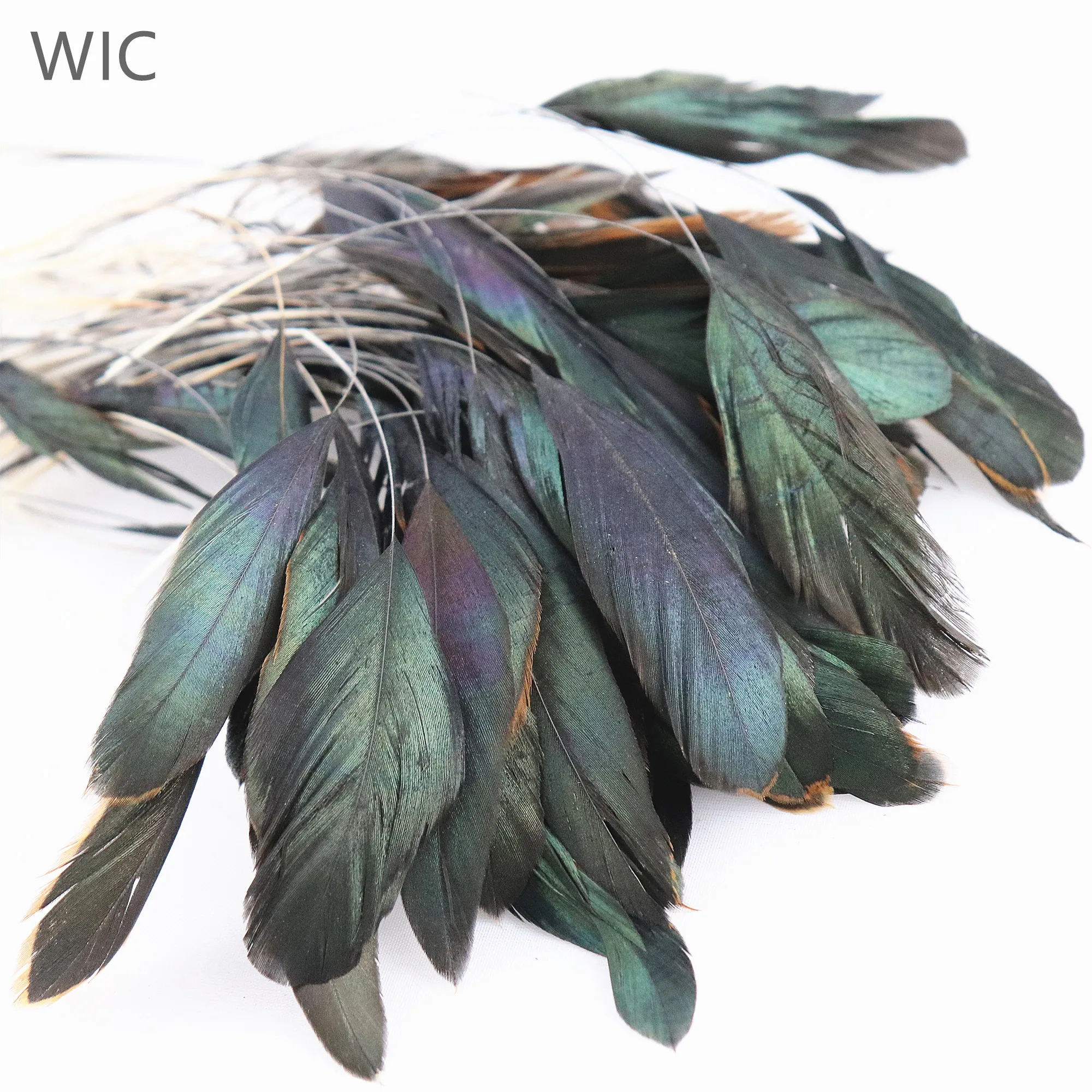 6-8 Inch Stripped Rooster Cock Tail Feathers Wholesale Coque Hackle Feather For Clothing Decor