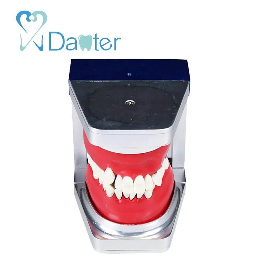 high quality typo dont practice model with five types of wax form and replacement teeth