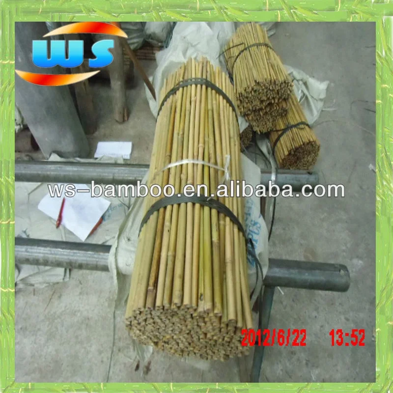 Timber Raw Materials/Bamboo pole for variety show performance