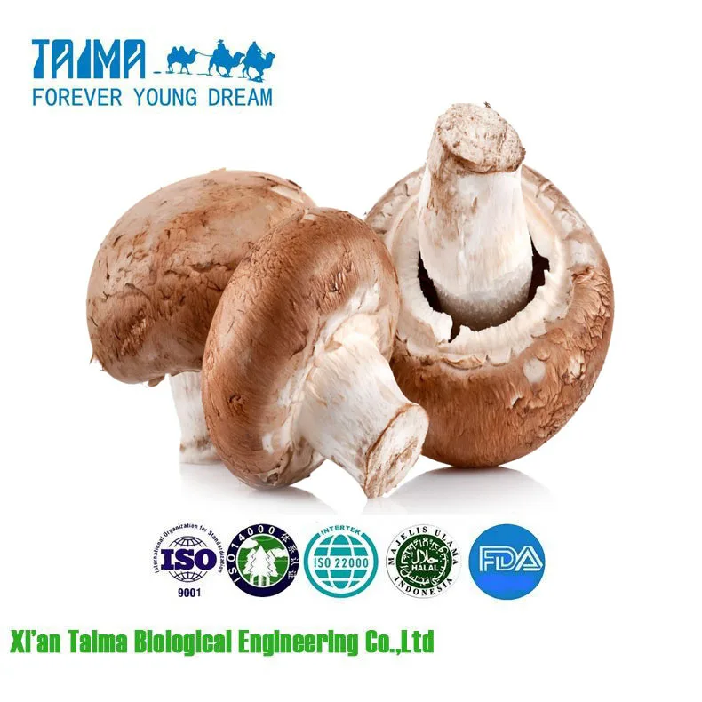 Xiantaima природного agaricus blazei murill p.e./Agaricus blazei экстракт/agaricus blazei murill экстракт гриба