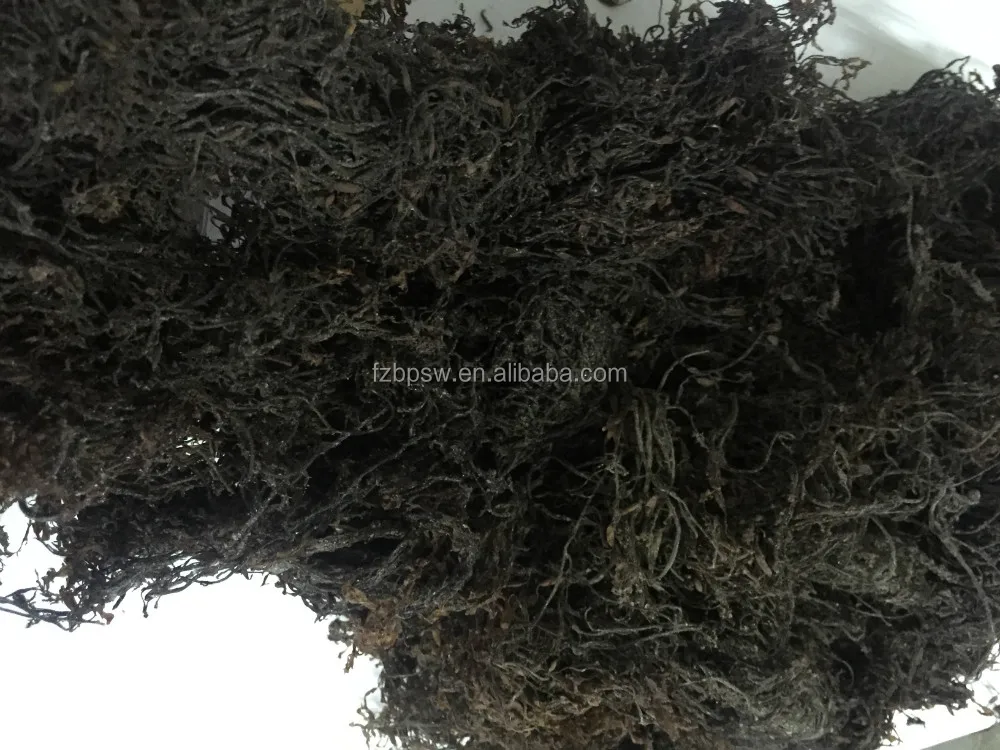 Bulk Package of Dried Sargassum Powder Seaweed Powder Feed Grade