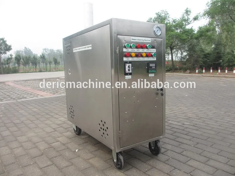 High - LPG auto steam cleaner on sale