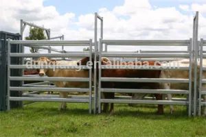 
 скота панелей/стали ёивотноводческой панелей  