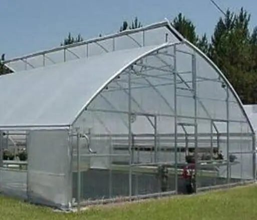 Solo Span Film Greenhouse