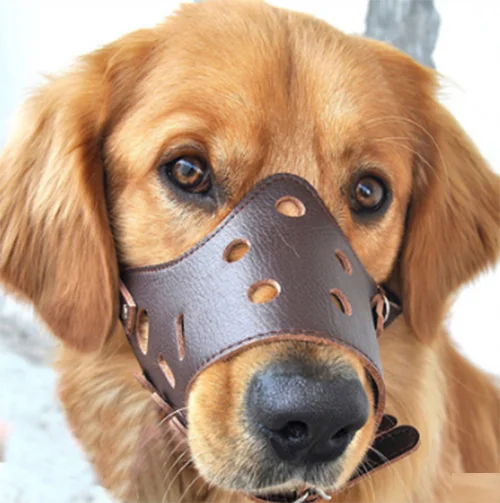 
Keep dogs from barking, dog bite mask/ dog mouth cover/Stop barking set 