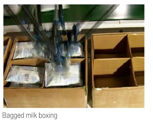 high speed industrial delta robot with vision system, multiple robots