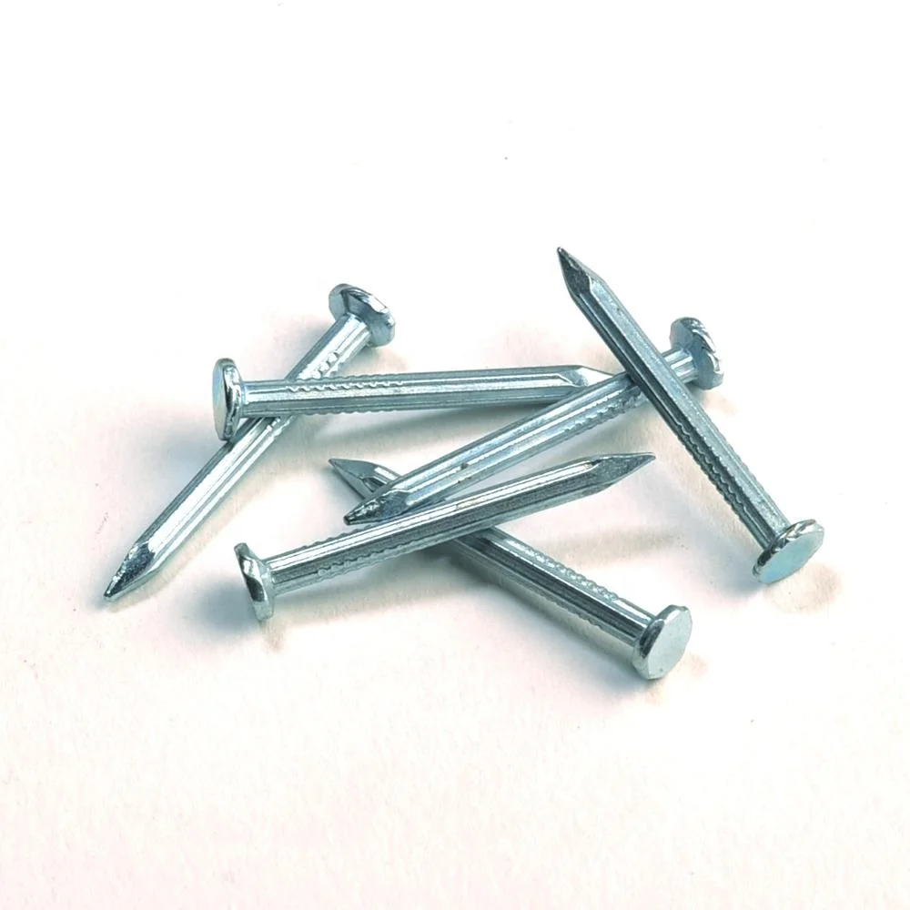 Electro Galvanized Concrete Nails and Steel Nails/ Steel  iron nails