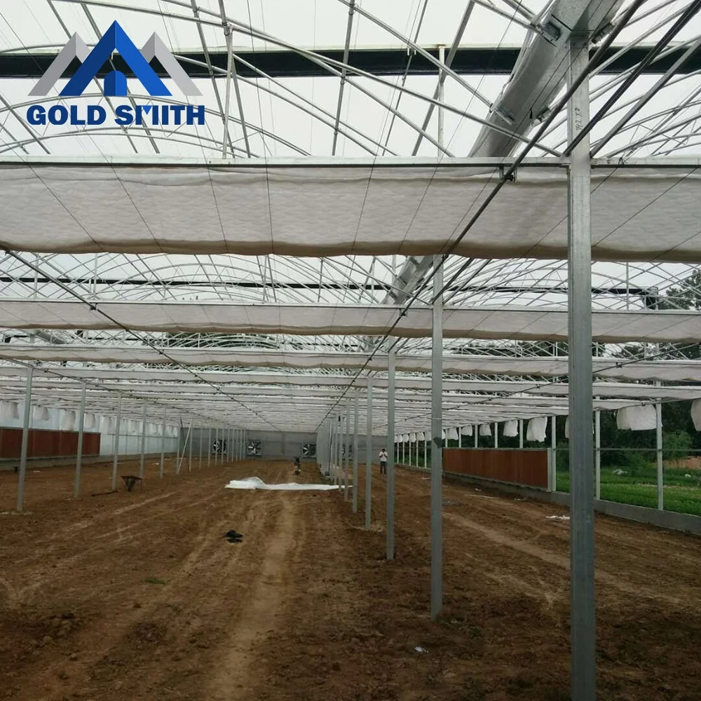 Commercial Multi-span Film Tunnel Agriculture Greenhouse with Hydroponic System