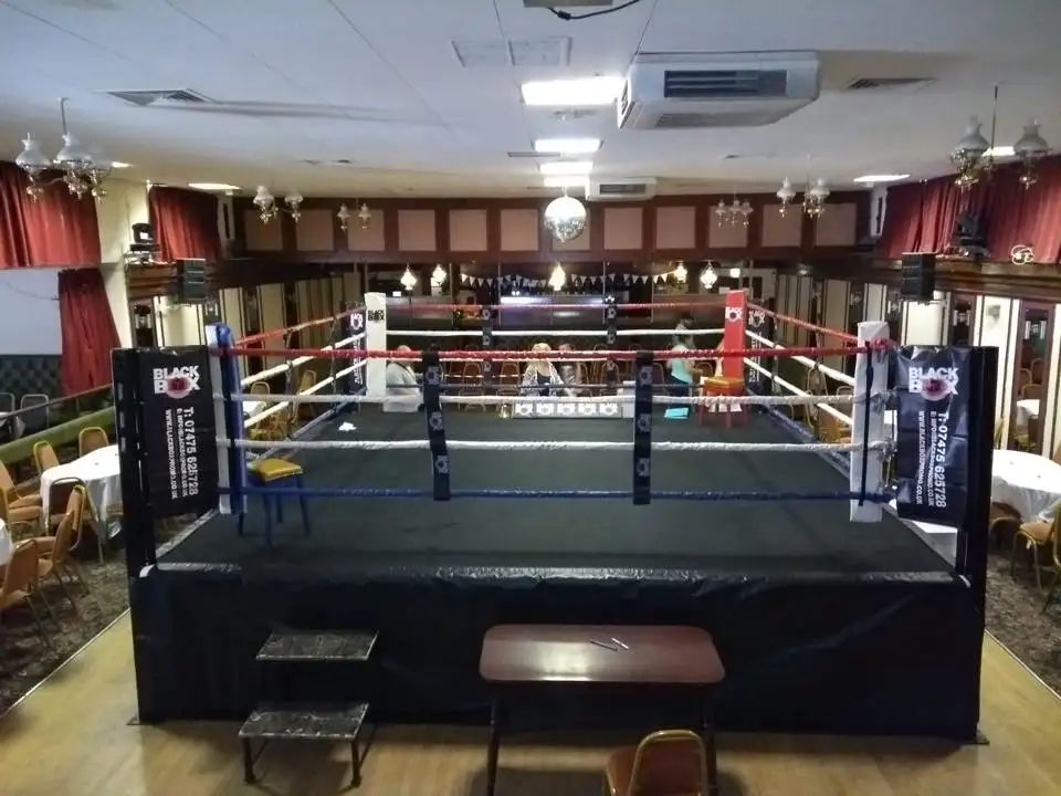 Cheap Competition Boxing Ring MMA cage wrestling cage  Ring de boxeo for export