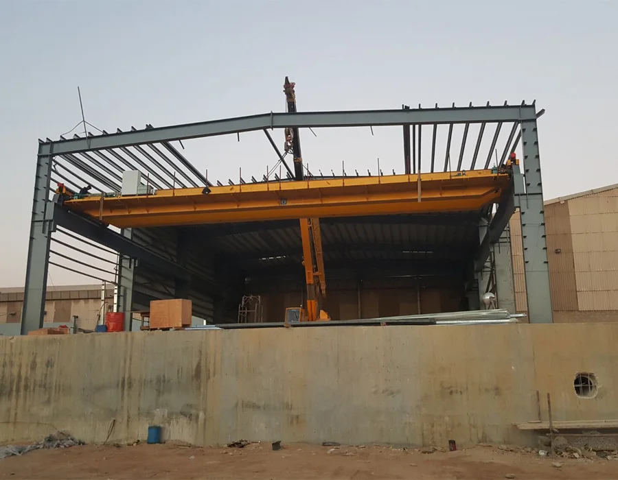 LH hoist overhead traveling crane for new workshop