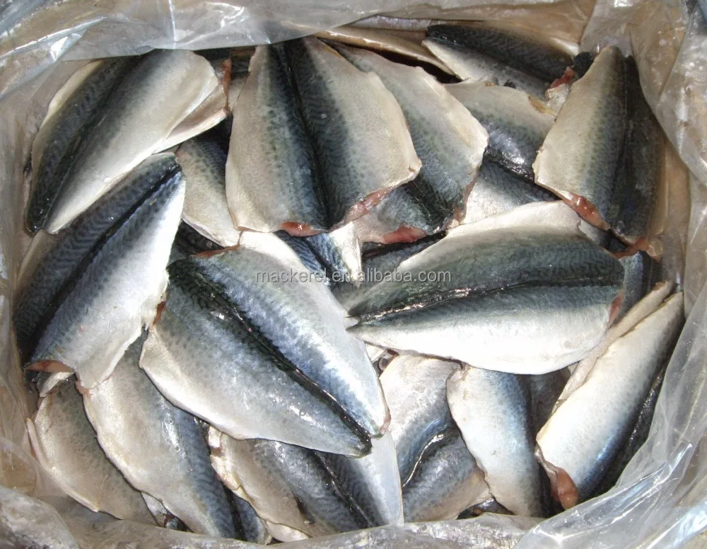Cheap Price Frozen Mackerel Fish Mackerel Butterfly For EU Market