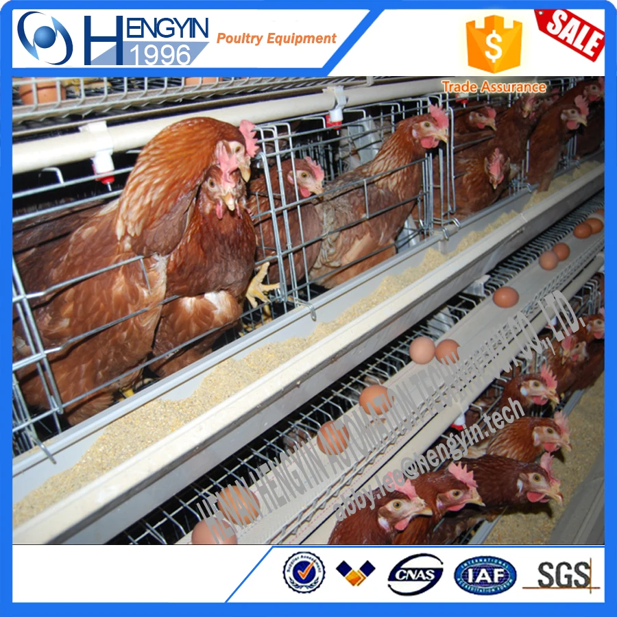 Newest promotion used chicken cage/ hen coops agricultural equipment broiler chicken cage