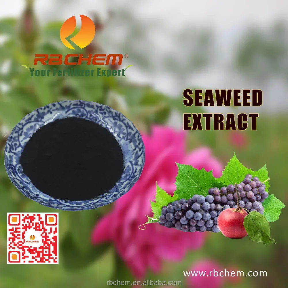 Plant Nutrients Agriculture Natural Seaweed Extract Organic Fertilizer In RBCHEM
