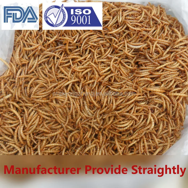 
Rich Nutrition Poultry Food Mealworms Dried for Hen Feed 