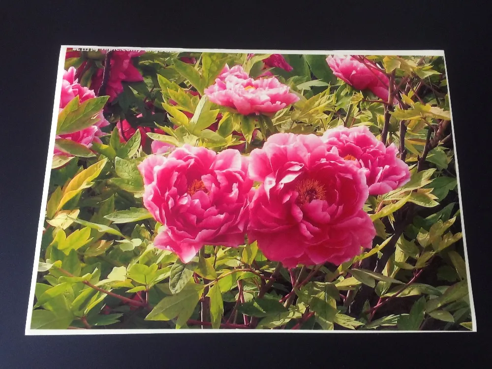 
Clear label sheet for inkjet printable,210mm x 297mm,100sheets/bag 