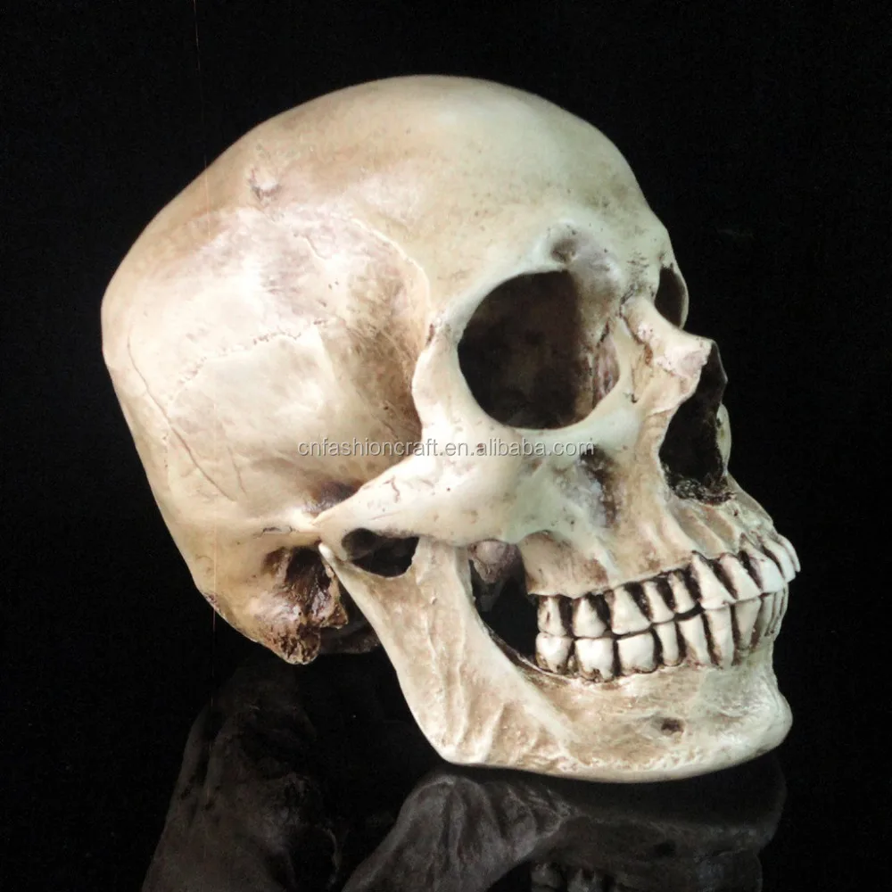 
Custom made skulls decorative resin wholesales halloween skull for crafts 