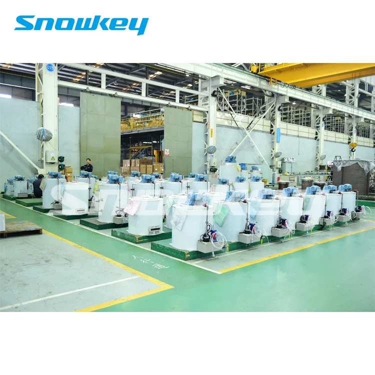
Snowkey 2 ton Sea Salt Water Flake Ice Maker On-Board for Fishery 