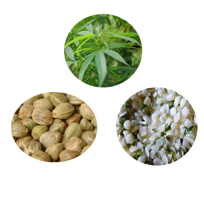 
Hulled/Shelled Hemp Seeds Organic and Conventional 