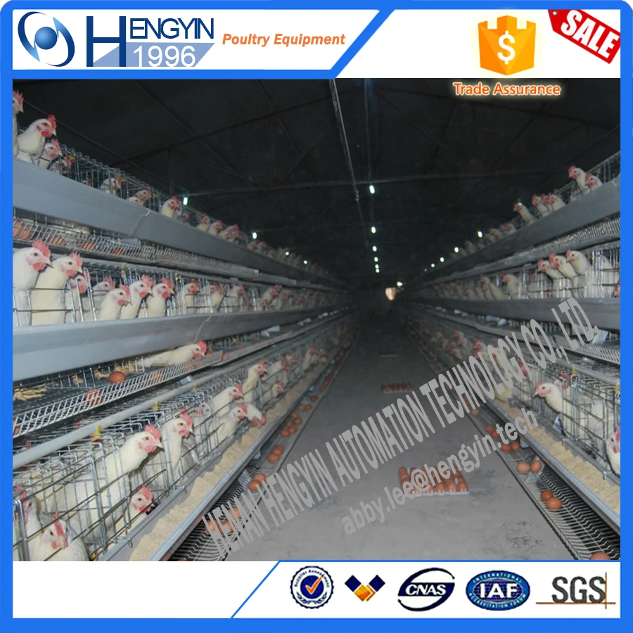 Newest promotion used chicken cage/ hen coops agricultural equipment broiler chicken cage