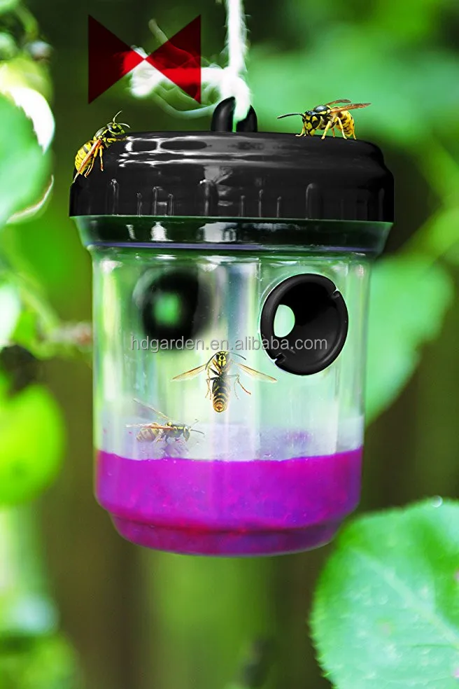
Wasp Trap Lures Hornet Yellow Jacket Bees Control Durable New 