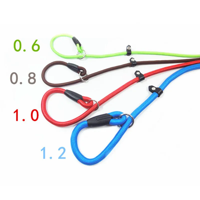 Lightweight durable training slip lead nylon rope dog leash for small medium dogs