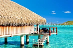 Материалы для водных камышей для крыши из соломы