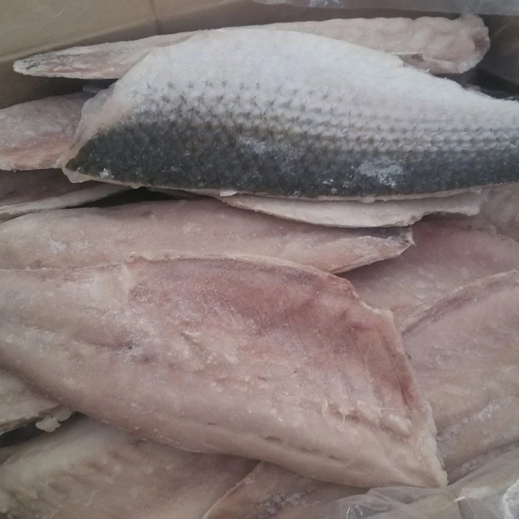 
2019 high quality fresh frozen grey mullet fillet frozen grey mullet fish grey mullet fillet 