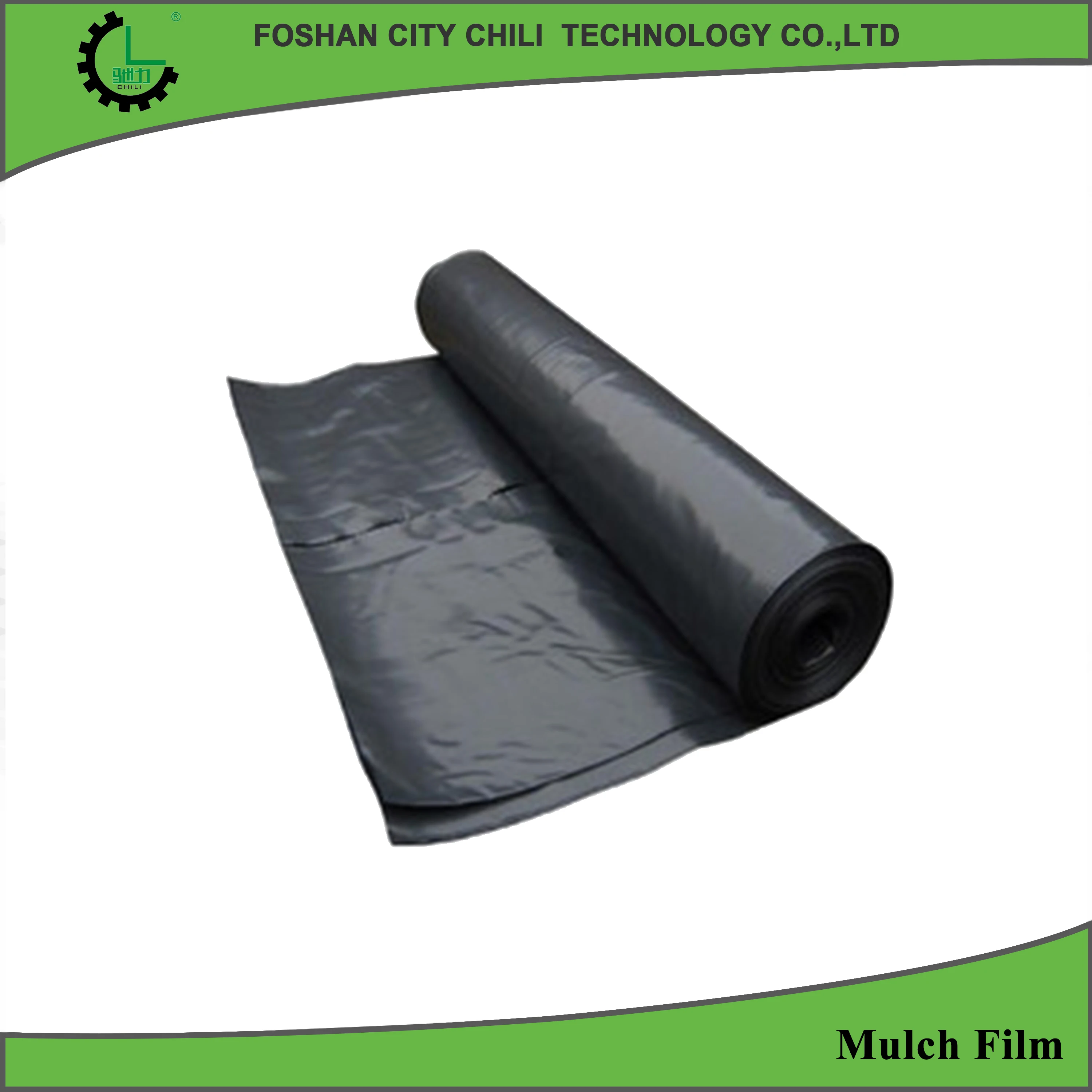 
Perforated plastic mulch film use for vegetable planting 