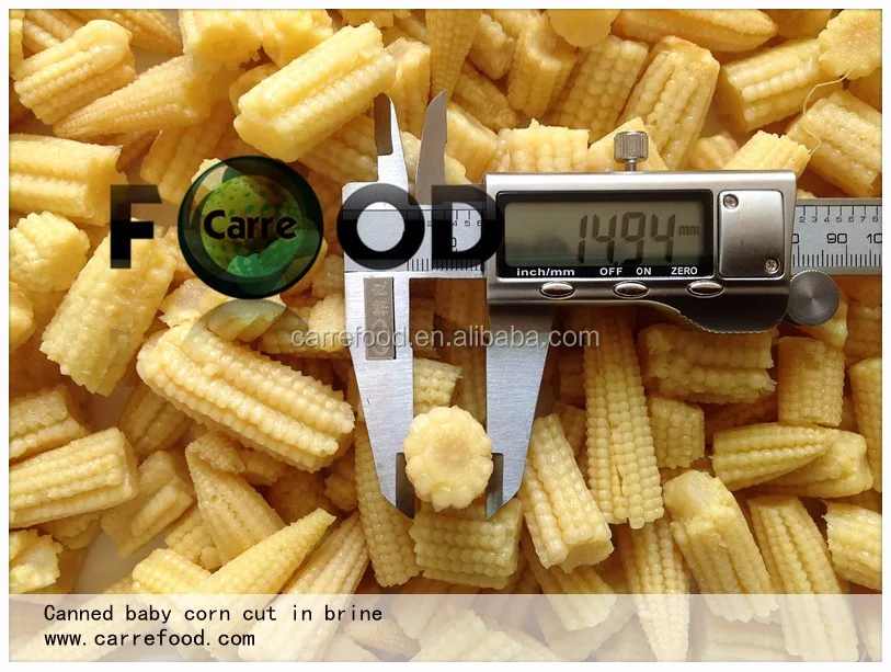 
Baby young corn 400 gram/fresh sweet baby corn cobs/Canned whole Young Baby Corn 