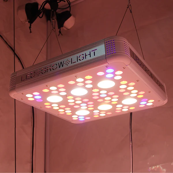 2019 Crees  CXA1512 Full Spectrum COB Grow Light 300w LED Grow Light with Advanced Technology