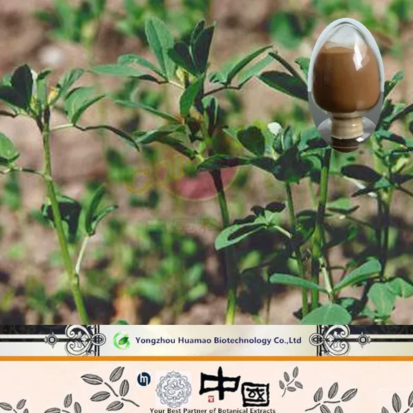 Купить codonopsis экстракт корня порошок, Сырье codonopsis экстракт корня