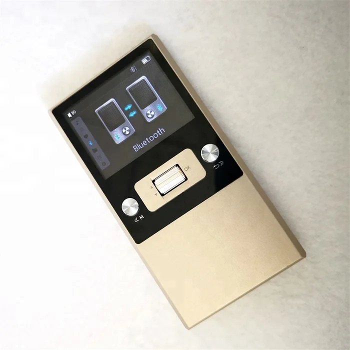 Professional DSD 128 hifi mp3 music player