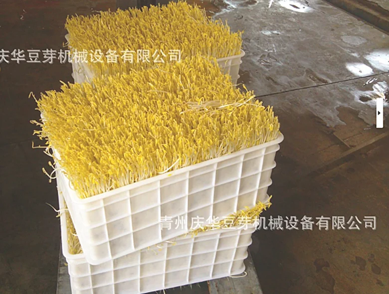 
Good Quality Bean Sprout Growing Machine/ Mung Bean Sprout Machine/ Bean Seed Germination Machine 