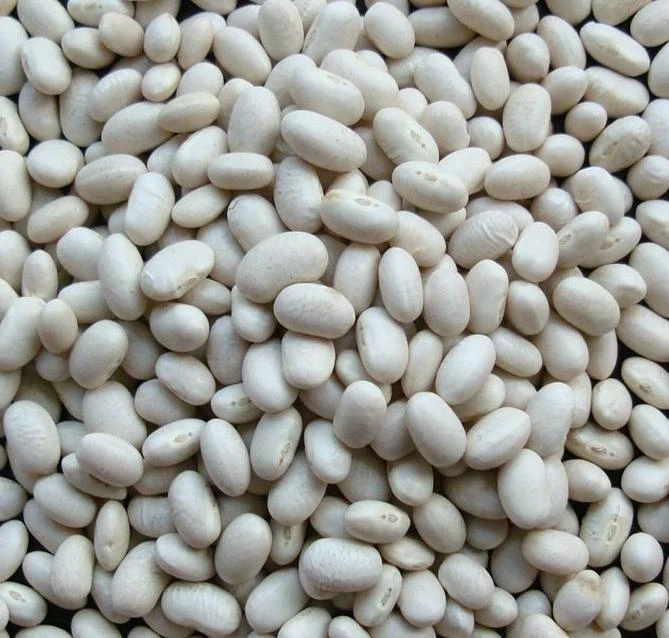 Chinese White Kidney Beans bulk package