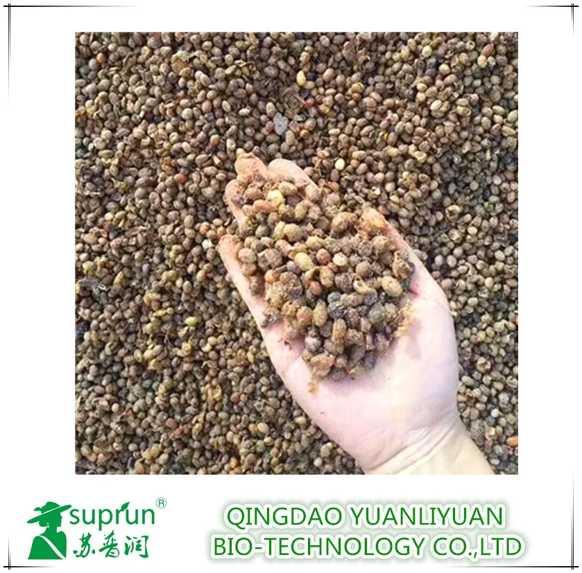 
Soybean - based organic fertilizer beneficial bacteria agent 