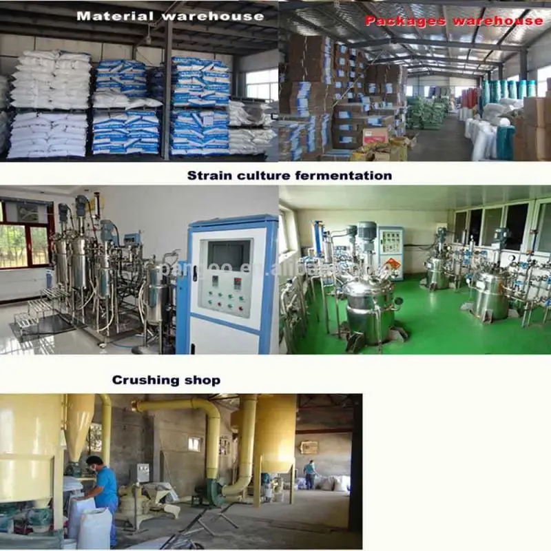 The horse prebiotics animal feed 1