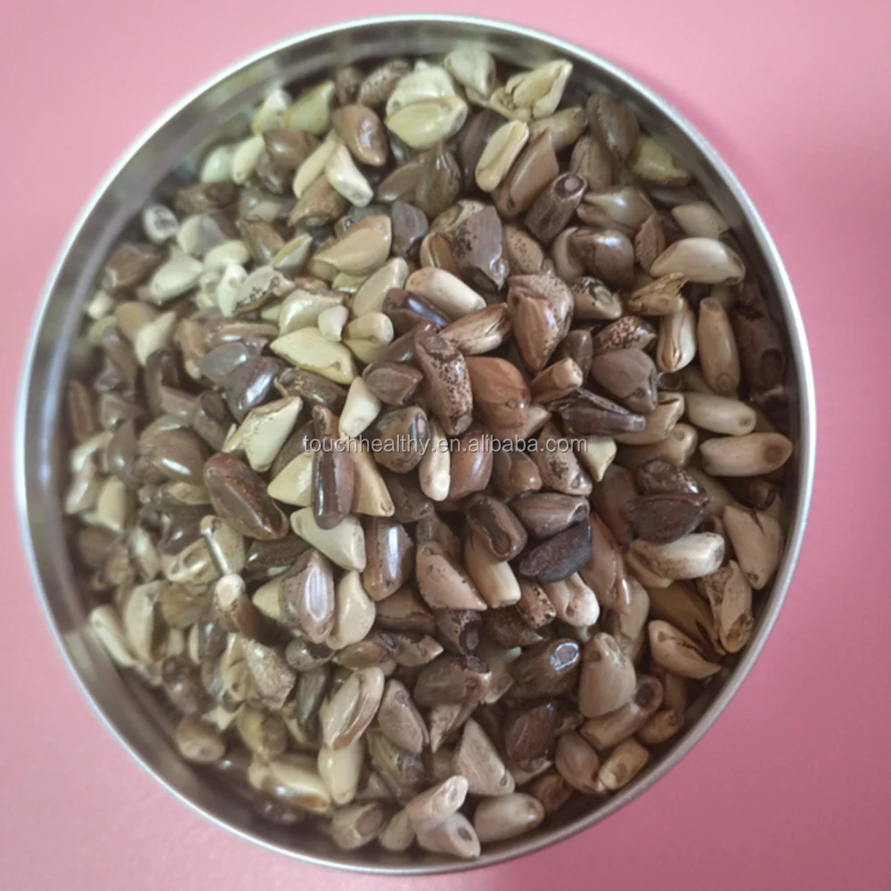 
2021 mexico corn grass seeds compared with common forage yield increased by 40% -70% 1kg/bags 