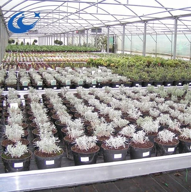 Hot Sale Rolling Bench,ebb anf flow bench,flood table plastic tray