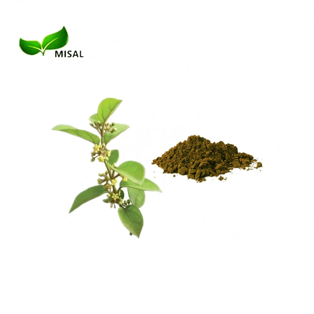 Factory supply Gymnemic Acid 25% 75% Gymnema Sylvestre Extract
