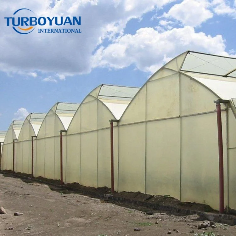 farm aquaponics pe greenhouse film / greenhouse plastic sheet covering for agriculture