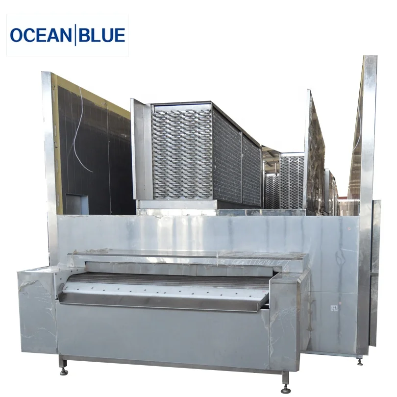 China Individual IQF Tunnel Type Blast Freezer Machine