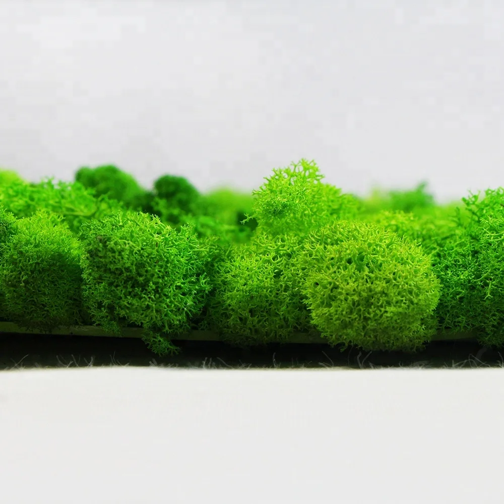 New products custom preserved reindeer outdoor artificial moss grass wall for decoration