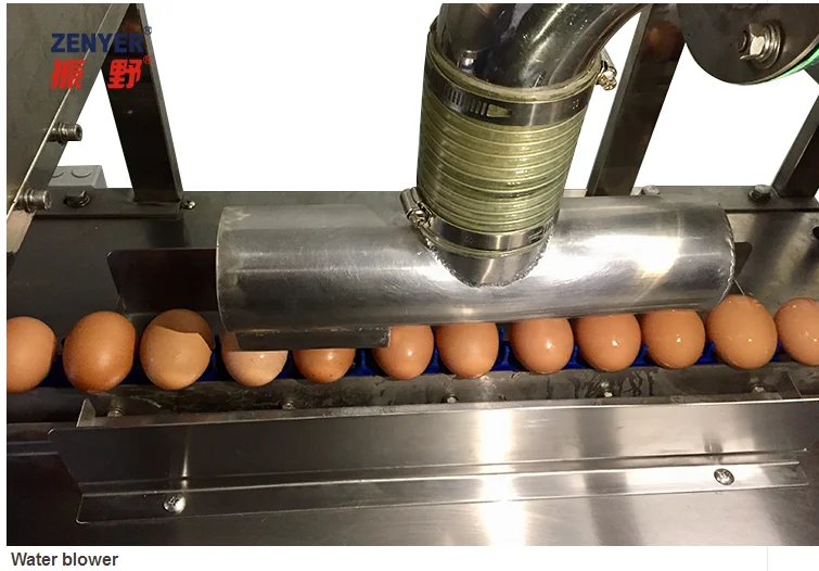 2020 new product egg washing machine egg processing equipment