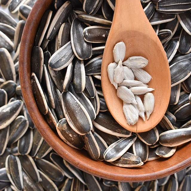 HIGH QUALITY Factory price Chinese raw Sunflower Seeds for good quality At Best Price